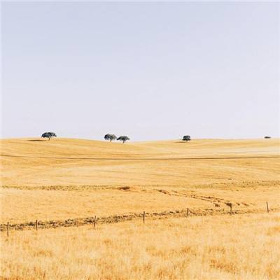 疯狂的世界破解版无限金币下载